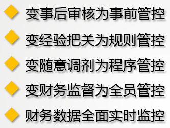 元內控平臺實施達到的整體效果